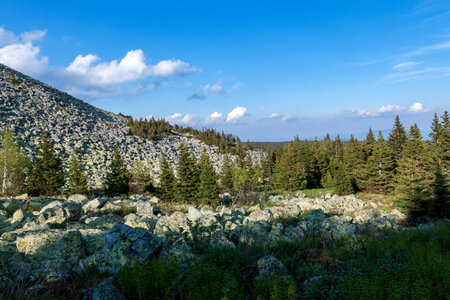 fantastic mountain landscape on a clear summer dayの写真素材