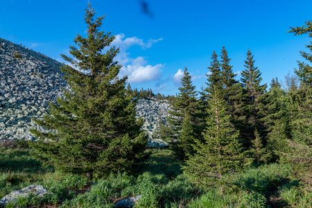 fantastic mountain landscape on a clear summer day