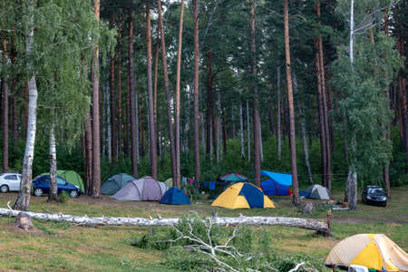 tourist's scattered things near a tent in the mountains among small treesの写真素材