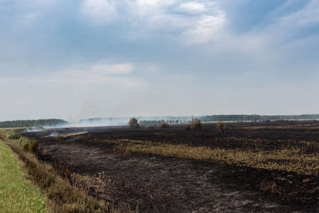 dry grass burning on the field on a hot day aの写真素材