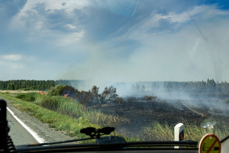 dry grass burning on the field on a hot day a