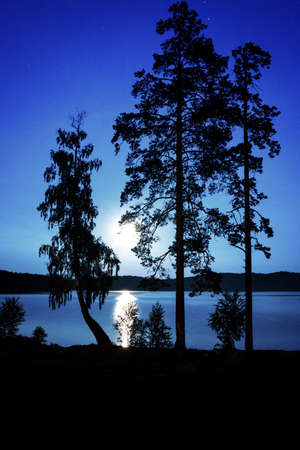 fantastic night landscape with moon over summer lakeの写真素材