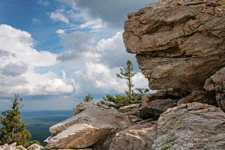 view from a high cliff on which the tree growsの写真素材