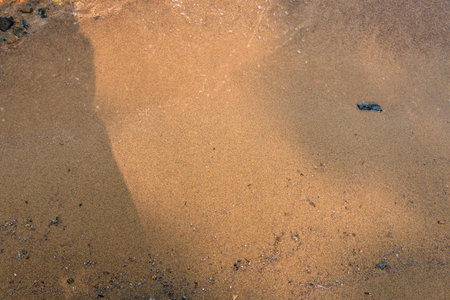 sea sand on the coastline of the sea v