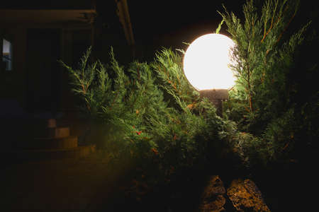 round street lamp in the garden at nightの写真素材