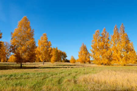 Autumn in the forest is a great time of the yearの写真素材
