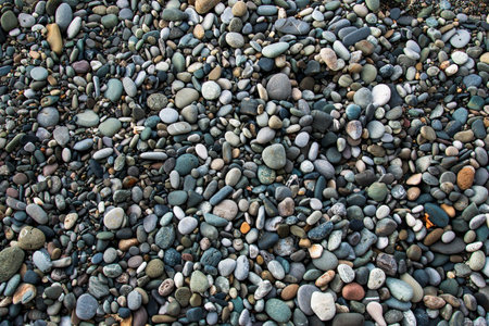 the seashore is covered with small pebbles.