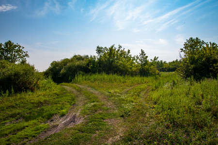 The field road beautifully decorates the landscapeの写真素材