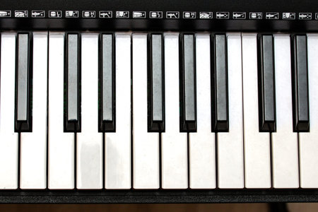 musical instrument electronic keyboard synthesizer