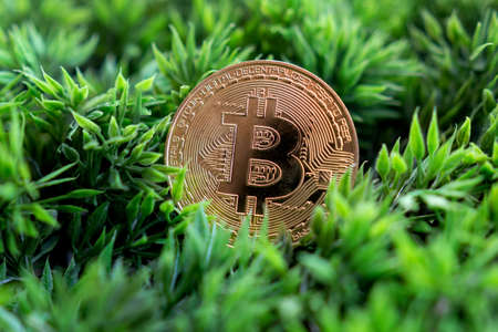 bitcoin cryptocurrency that is very popular on the crypto exchangeの写真素材