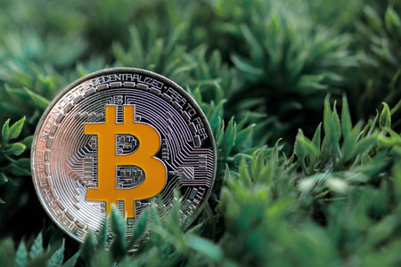 bitcoin is the digital money of the futureの写真素材