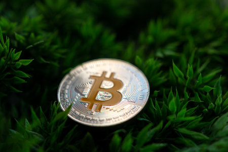 bitcoin is the digital money of the futureの写真素材