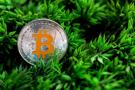 bitcoin is the digital money of the futureの写真素材