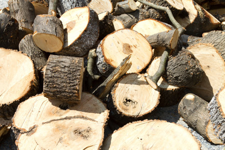 Stacked Wood