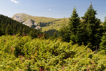 Ilgaz Mountains, Kastamonu, Turkey