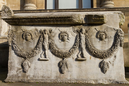 A Sarcophagusの写真素材