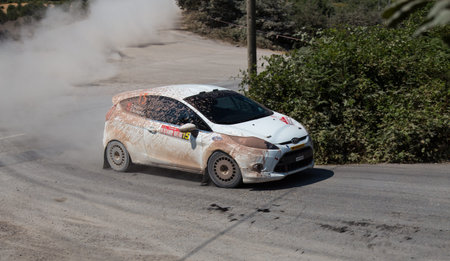 ISTANBUL, TURKEY - JULY 13, 2014: Eytan Halfon drives Ford Fiesta R2 in 35. Istanbul Rally, Ulupelit...