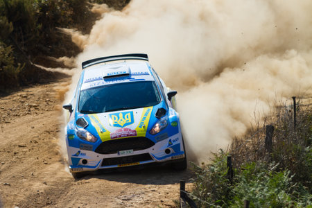 ISTANBUL, TURKEY - AUGUST 16, 2014: Oleksandr Saliuk drives Ford Fiesta R5 car in Avis Bosphorus Rally, Mudarli Stageのeditorial素材