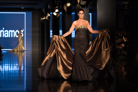 ISTANBUL, TURKEY - NOVEMBER 21, 2014: A model showcases one of the latest creations by Priamos in Fashionist fashion fairのeditorial素材