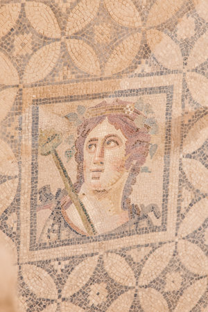 Mosaic in Terrace Houses, Ephesus Ancient City in Izmir, Turkeyのeditorial素材
