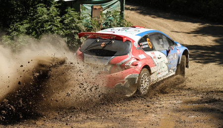 KOCAELI, TURKEY - JUNE 12, 2016: Burak Cukurova drives Peugeot 208 T16 R5 of BC Vision Motorsport...