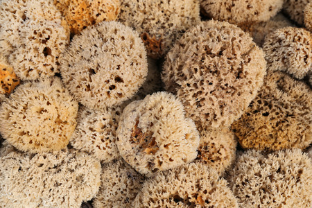 Sponges in a Gift Shop in Bodrum Town, Turkeyの写真素材