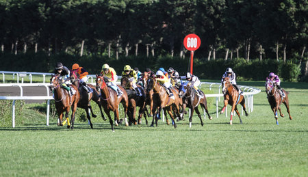 ISTANBUL, TURKEY - JUNE 25, 2017: Riders compete in Zubeyde Hanim run in Istanbul Horce Race, Veliefendi racetrack.のeditorial素材