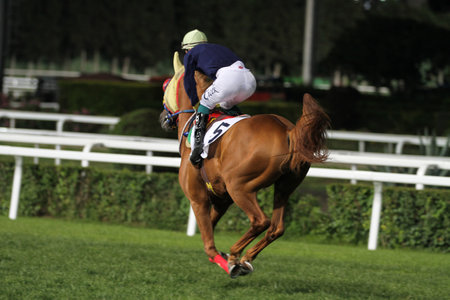 ISTANBUL, TURKEY - JUNE 25, 2017: Unidentified rider getting ready to Ali Riza Bey Run in Istanbul Horce Race, Veliefendi racetrack.のeditorial素材
