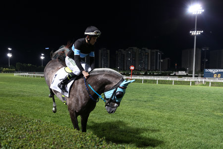 ISTANBUL, TURKEY - JUNE 25, 2017: Unidentified rider getting ready to Ali Riza Bey Run in Istanbul Horce Race, Veliefendi racetrack.のeditorial素材