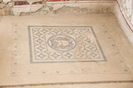 Mosaic of Dionysus in Terrace Houses, Ephesus Ancient City, Izmir, Turkeyのeditorial素材