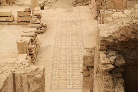 Terrace Houses in Ephesus Ancient City, Izmir, Turkeyのeditorial素材