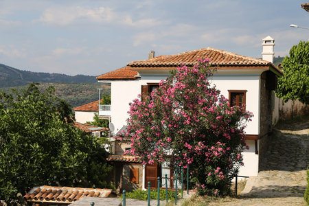 Sirince Village in Selcuk, Izmir City, Turkeyのeditorial素材
