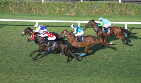 ISTANBUL, TURKEY - JULY 07, 2017: Riders compete in a run in Istanbul Horce Race, Veliefendi racetrack.のeditorial素材