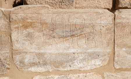 Hieroglyphics in Karnak Temple, Luxor City, Egypt