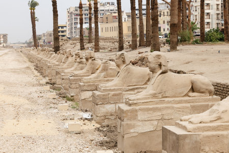 Avenue of Sphinxes in Luxor Temple, Luxor City, Egyptの写真素材