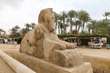 Sphinx in Ancient Capital Memphis, Cairo, Egyptの写真素材