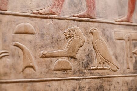 Scenes in Saqqara Necropolis, Cairo City, Egyptの写真素材