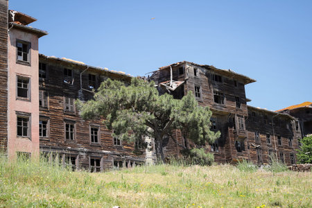 Prinkipo Greek Orthodox Orphanage in Buyukada Island, Istanbul City, Turkeyの写真素材