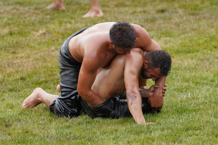 ISTANBUL, TURKIYE - JUNE 11, 2022: Oil wrestlers compete during Etnospor Culture Festival. Oil wrestling also called grease wrestling is the Turkish traditional sport.のeditorial素材