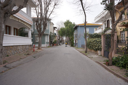 Street in Buyuk Ada, Istanbul City, Turkiyeのeditorial素材