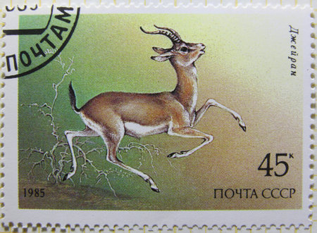 ISTANBUL, TURKEY - JANUARY 03, 2021: Soviet Union stamp shows Endangered Wildlife, Gazella subgutturosa circa 1985のeditorial素材