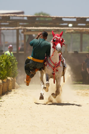 ISTANBUL, TURKIYE - JUNE 08, 2024: Riding Show during Etnospor Culture Festivalのeditorial素材