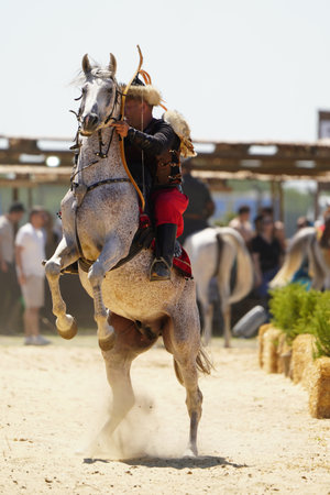 ISTANBUL, TURKIYE - JUNE 08, 2024: Riding Show during Etnospor Culture Festivalのeditorial素材