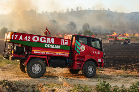 CANAKKALE, TURKIYE - JUNE 18, 2024: Firefighters extinguish forest fire in Gallipoli