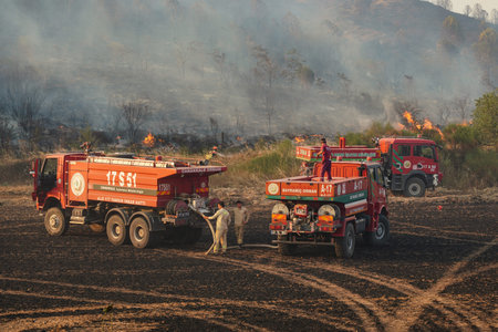 CANAKKALE, TURKIYE - JUNE 18, 2024: Firefighters extinguish forest fire in Gallipoli