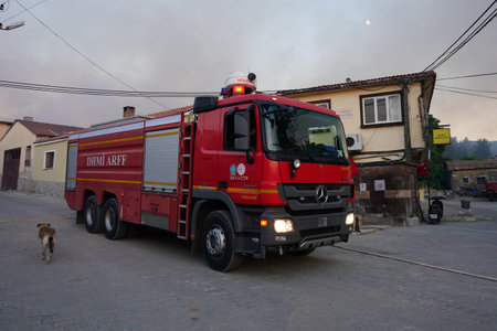 CANAKKALE, TURKIYE - JUNE 18, 2024: Firefighters extinguish forest fire in Gallipoli