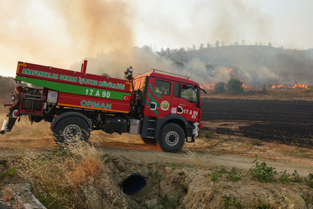 CANAKKALE, TURKIYE - JUNE 18, 2024: Firefighters extinguish forest fire in Gallipoli
