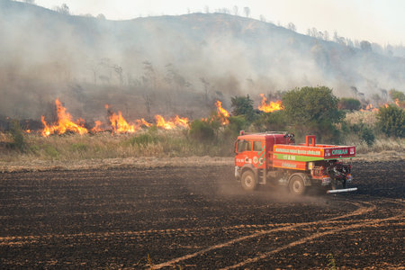 CANAKKALE, TURKIYE - JUNE 18, 2024: Firefighters extinguish forest fire in Gallipoli