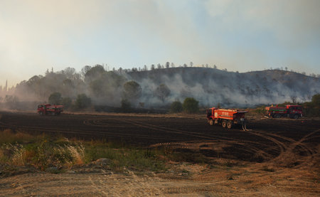 CANAKKALE, TURKIYE - JUNE 18, 2024: Firefighters extinguish forest fire in Gallipoli