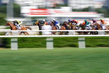 ISTANBUL, TURKIYE - JUNE 30, 2024: Horse race in Veliefendi Race Course